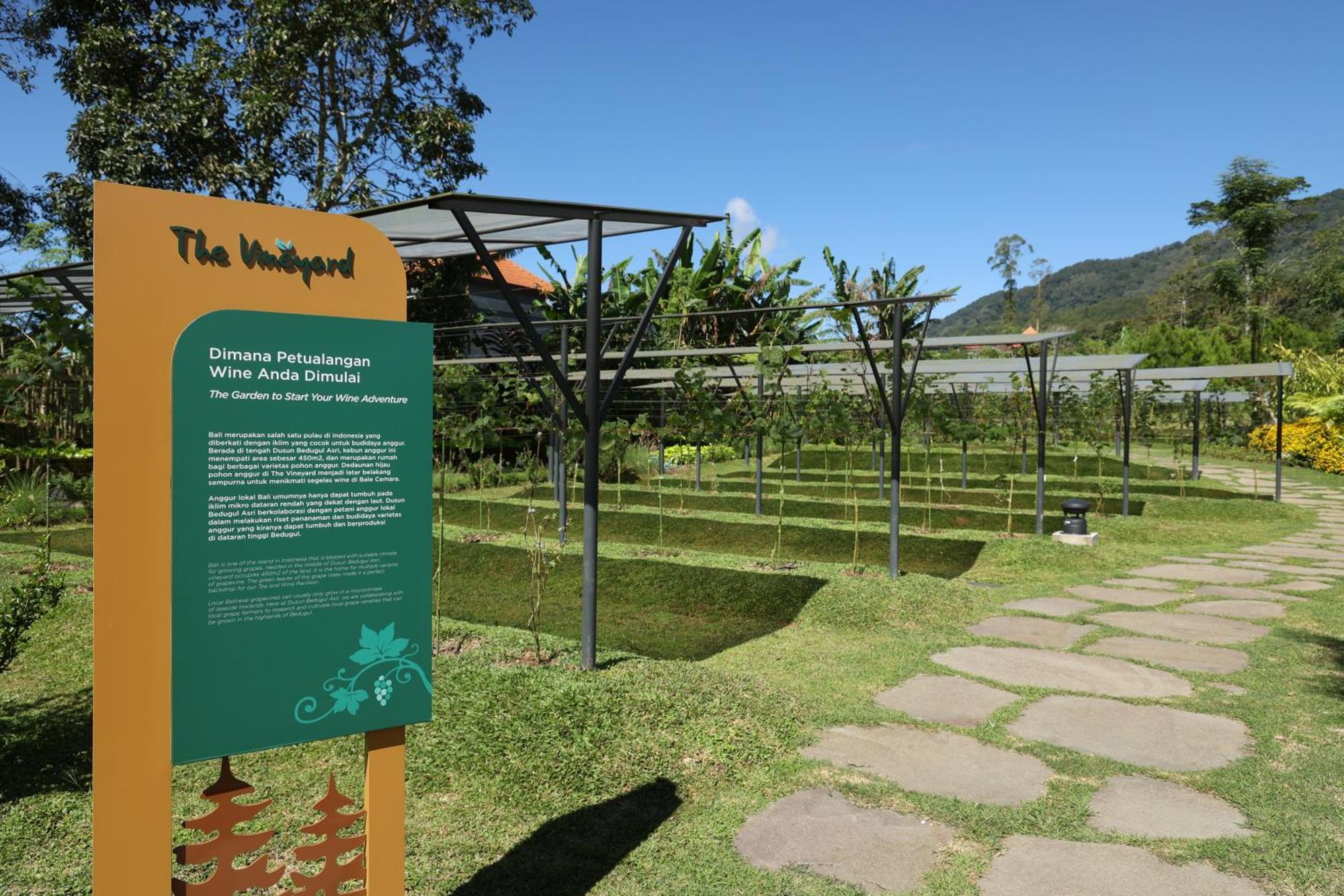 Dusun Bedugul Asri Hotel Exterior foto