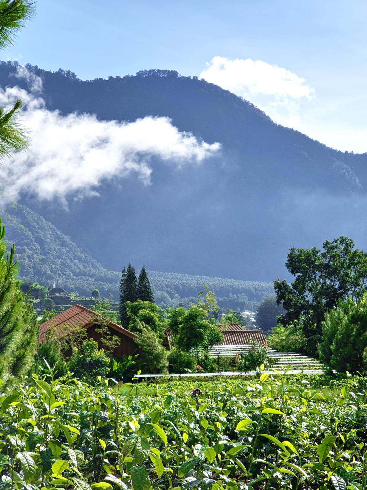 Dusun Bedugul Asri Hotel Exterior foto